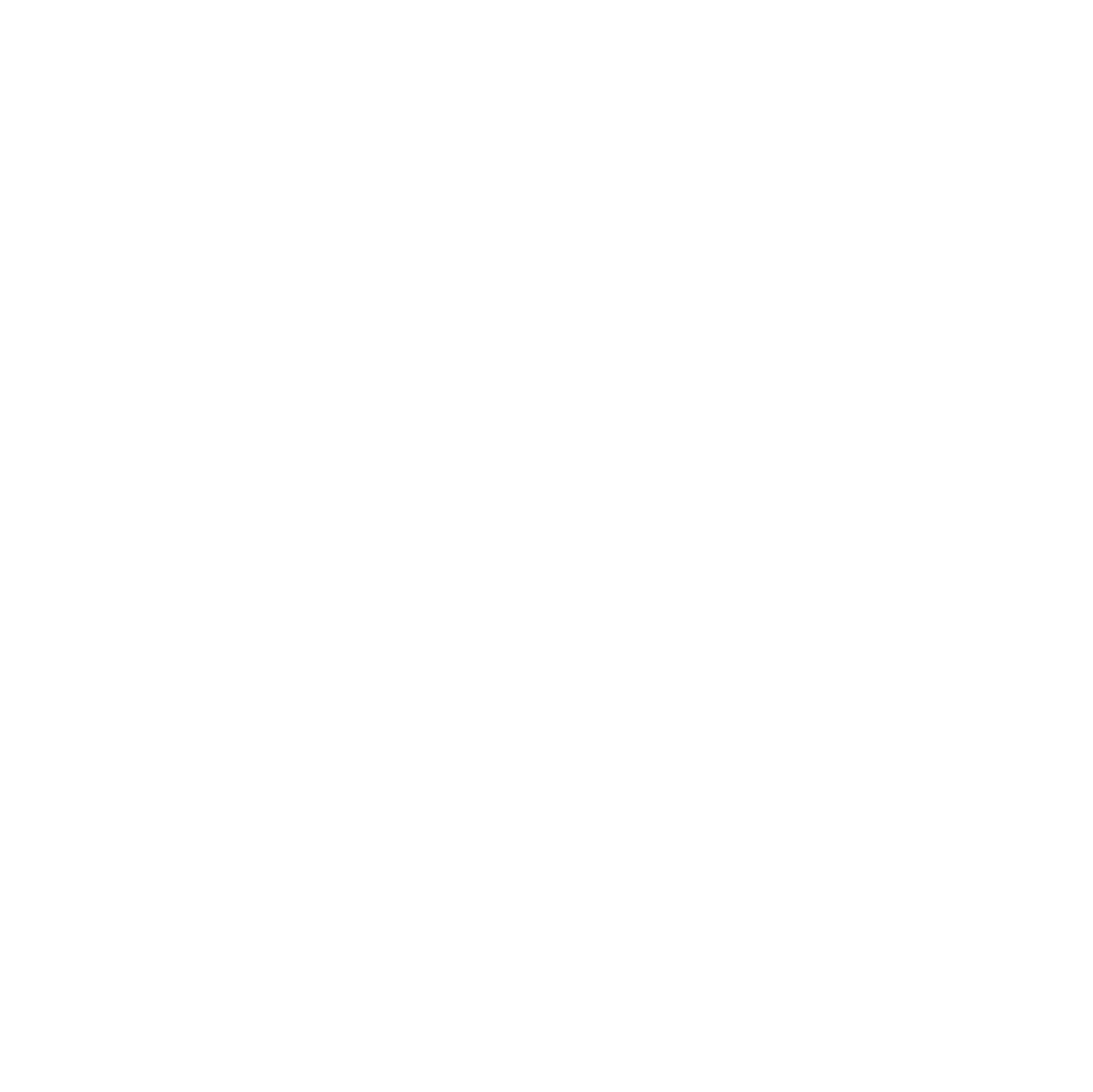 Instagram white_icon