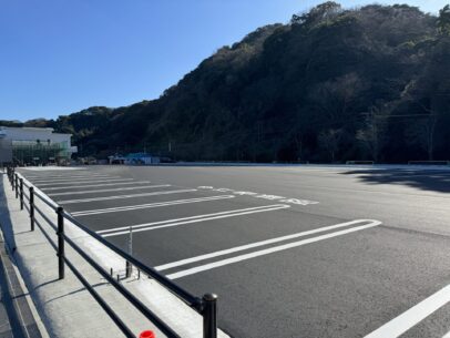 61FC45BF B1F4 4DE2 BCAC 32DD2A773137