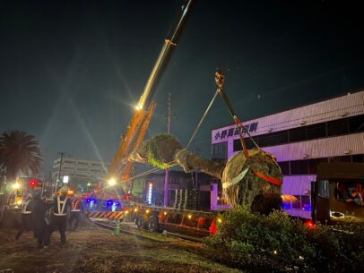 LINE ALBUM 🌳 240314